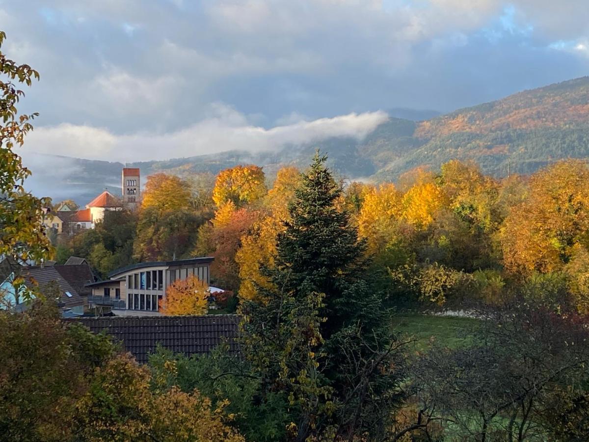 Osenbach Le Moonloft Insolite Tiny-House Dans Les Arbres & 1 Seance De Sauna Pour 2 Avec Vue Panoramique מראה חיצוני תמונה