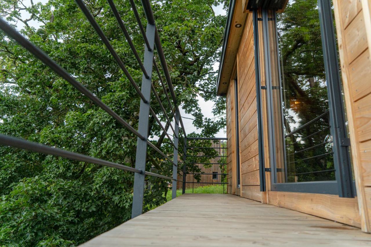 Osenbach Le Moonloft Insolite Tiny-House Dans Les Arbres & 1 Seance De Sauna Pour 2 Avec Vue Panoramique מראה חיצוני תמונה
