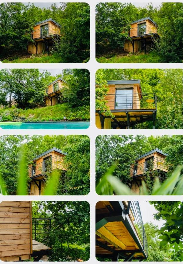 Osenbach Le Moonloft Insolite Tiny-House Dans Les Arbres & 1 Seance De Sauna Pour 2 Avec Vue Panoramique מראה חיצוני תמונה